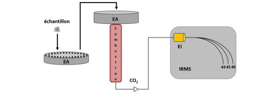 Analyse isotopique globale