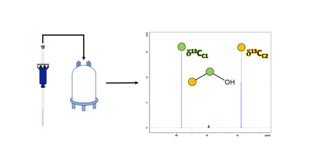 Analyse isotopique position spécifique en carbone-13 (PSIA)