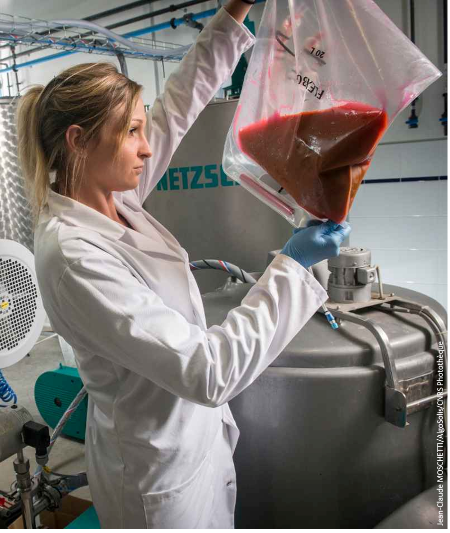 Microalgues Biotechnologies