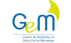 GeM - Copie