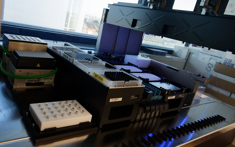 Viral vector manufactoring for gene therapy CAPACITÉS